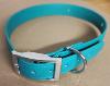 Collier pour chiens ASTRO - PROMOTION