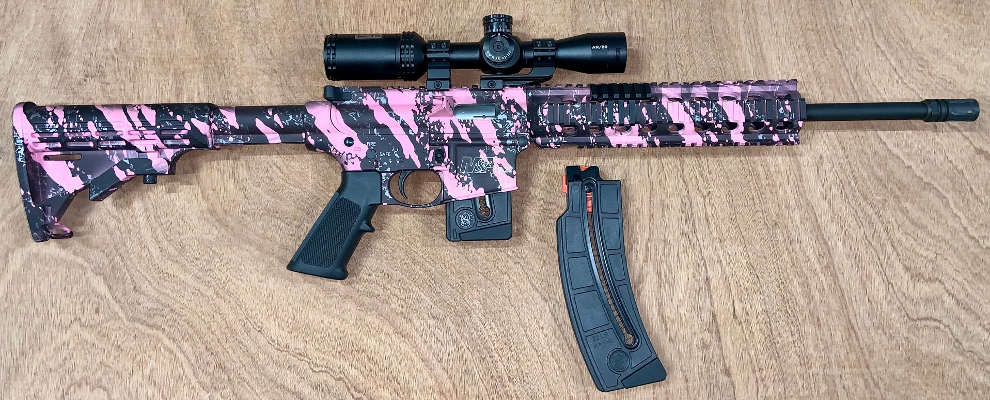 Carabine Smith Wesson MP15-22 Sport (Arme occasion)